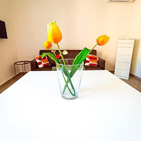 Semesterbostad Casa Pinta *